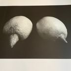 Sabine Kacunko, Out Of Sight I,2000 thumbnail 6