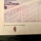 Schoolplaat Uit 1968 “ Sprooksprekers In De Ridderzaal, 1394” thumbnail 8