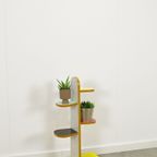 Vintage Plantenrek Met Frisse Kleuren thumbnail 2