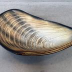 Vintage Xl Mossel Schelp – Kunststof Schaal thumbnail 6