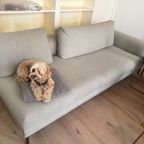 Design on Stock 2,5-zits Bank, 1-arm (links) + Poof + Rugkussens thumbnail 6