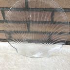 6 Schelpen Borden 20 X 20 Cm Arcopal Glas thumbnail 3