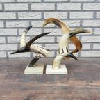 Duo Vogels Uit Hoorn thumbnail 3