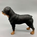 Vintage Beeld Rottweiler Handbeschilderd Italië thumbnail 5
