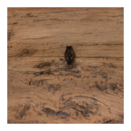 Salontafel Out Hout thumbnail 6