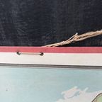 Kartonnen Schoolplaat Denemarken-ijsland thumbnail 3
