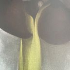 G. O’keeffe (1887-1986), Dark Iris I, 1927, thumbnail 14