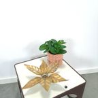Floral Willy Daro Wandlamp Massive België thumbnail 3