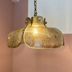 Bloem Hanglamp Met Rookglas Platen thumbnail 6