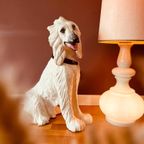 Italiaanse Keramieken Hond +/- 70cm Hoog thumbnail 9