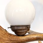 Xb14. Geweienlamp – Antler Lamp thumbnail 8