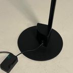 Caltha Vloerlamp Gianfranco Frattini Vintage Lamp Luci 1982 thumbnail 5