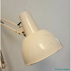 Anglepoise Lighting Floorlamp thumbnail 6