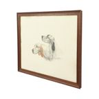 Kleuren Litho Leon Danchin Jachthond Spaniël Genummerd 150-300 thumbnail 11