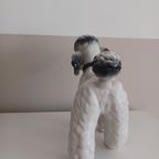 Vintage '80 Xl Poedelbeeld. Handbeschilderde Italiaanse Keramiek. thumbnail 11