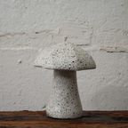 Paddenstoel Terrazzo thumbnail 3