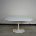 Ovale White Tulip Dining Table By Maurice Burke For , 1960'Sarkana thumbnail 2