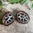 Bijzonder Paar Black Septarian Nodule Fossil, Drakensteen thumbnail 2