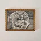 Vintage Lijstje Met Foto Zwart Wit Van Een Hond thumbnail 2