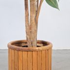 Vintage Planter Eiken Hout Plantenbak Scandinavisch Design thumbnail 6