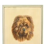 Vintage Ingelijste Kleuren Litho Hond Chow Chow Gesigneerd thumbnail 2