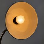 Grey Desk Light By H. Busquet For Hala Zeist From The 1960's thumbnail 10