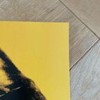 Andy Warhol (1928-1987), Debbie Harry, 1980 thumbnail 7
