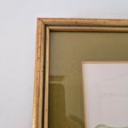 Os Morel Schilderij Vintage Tekening Flora Hedera thumbnail 7