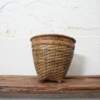 Bamboe Pot | M thumbnail 3