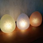 Ei Lampjes Egglamp Hb Frankrijk thumbnail 13