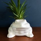 Vintage Witte Bloempot Pad / Kikker, Cactusplanter Dier Wit Keramiek thumbnail 2