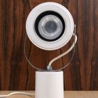 Witte Tafelspot 58188 thumbnail 5