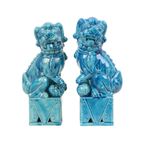 Groot Koppel Foo Dogs Tempelleeuwen Turquoise Keramiek 25cm thumbnail 9