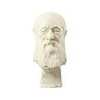 Grote Klassieke Buste Oude Man Met Baard Gips 50cm thumbnail 14
