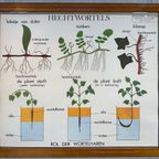 18X Vintage Schoolplaten ‘Botanica’ In Wisselkader thumbnail 20