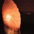 Grote Schelp/ammoniet Vorm Tafellamp, Kunststof thumbnail 4