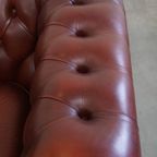 Engelse Rundleren Chesterfield Fauteuil Van Springvale Met Een Luxe Uitstraling thumbnail 12