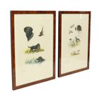Kleuren Litho’s Boris Riab Jachthond Gesigneerd Kunst Paris thumbnail 13