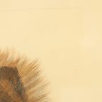 Vintage Ingelijste Kleuren Litho Hond Chow Chow Gesigneerd thumbnail 9