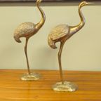 Grote Messing Kraanvogels Kraanvogel Vogels Vogel Vintage thumbnail 7