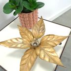 Floral Willy Daro Wandlamp Massive België thumbnail 8