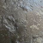 Slate Top And Chrome Coffee Table By Dr. Peter Daenert 1970S thumbnail 14