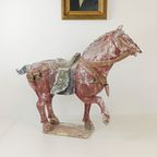 Tang Dynasty Paard thumbnail 8