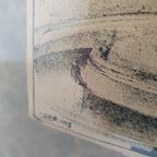 Litho Lithografie/ Lithography / Steendruk Birds / Vogels thumbnail 5