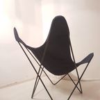 Jorge Ferrari-Hardoy “Bkf” Butterfly Lounge Chair For Knoll, 1970’S thumbnail 3