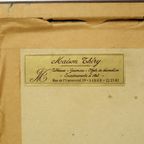 Kleuren Litho’s Boris Riab Jachthond Gesigneerd Kunst Paris thumbnail 20