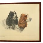 Grote Kleuren Litho Leon Danchin Jachthond Spaniël 68x55cm thumbnail 3