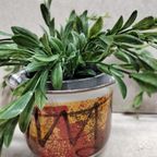 West Germany Bloempot (ten) thumbnail 7