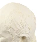 Grote Klassieke Buste Oude Man Met Baard Gips 50cm thumbnail 7