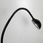 Set Van 2 Design Vloerlampen, Flexibel thumbnail 11
